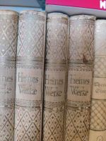 Heinrich Heines Werke 4 Bücher bände 1923 antik Rarität kunst Kr. Dachau - Dachau Vorschau