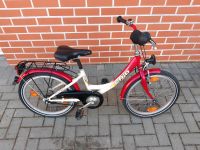 Fahrrad 20 Zoll Brandenburg - Prenzlau Vorschau