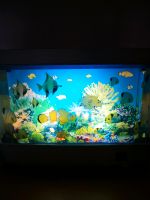 Aquarium Lampe Nordrhein-Westfalen - Burscheid Vorschau