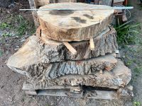 Baumscheiben Holzscheiben für Couchtisch Tisch Ludwigslust - Landkreis - Grabow Vorschau