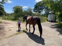 Ponykurs Reitunterricht Kinderreitunterricht Ponyreiten Nordrhein-Westfalen - Hürth Vorschau
