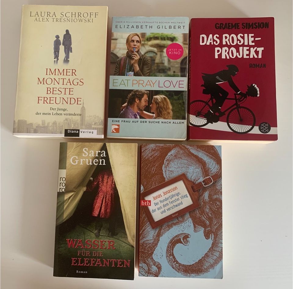 Sommerlektüre: verschiedene Taschenbücher/Romane (5 Bücher) in Kalbach