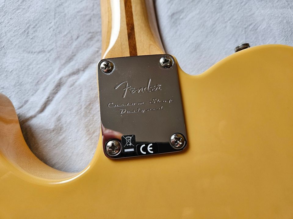Fender Baja Telecaster MIM 2012. Gewicht: 2,85kg in Saarbrücken