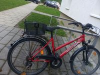 Damen Fahrrad Neuhausen-Nymphenburg - Nymphenburg Vorschau