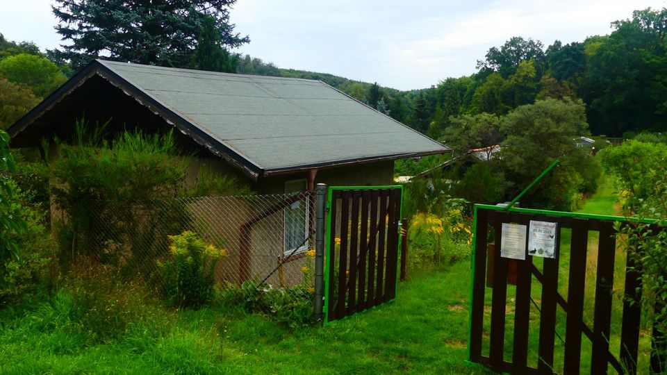 Schrebergartenparzelle in Kleingartenanlage Ruhla OT Thal in Eisenach