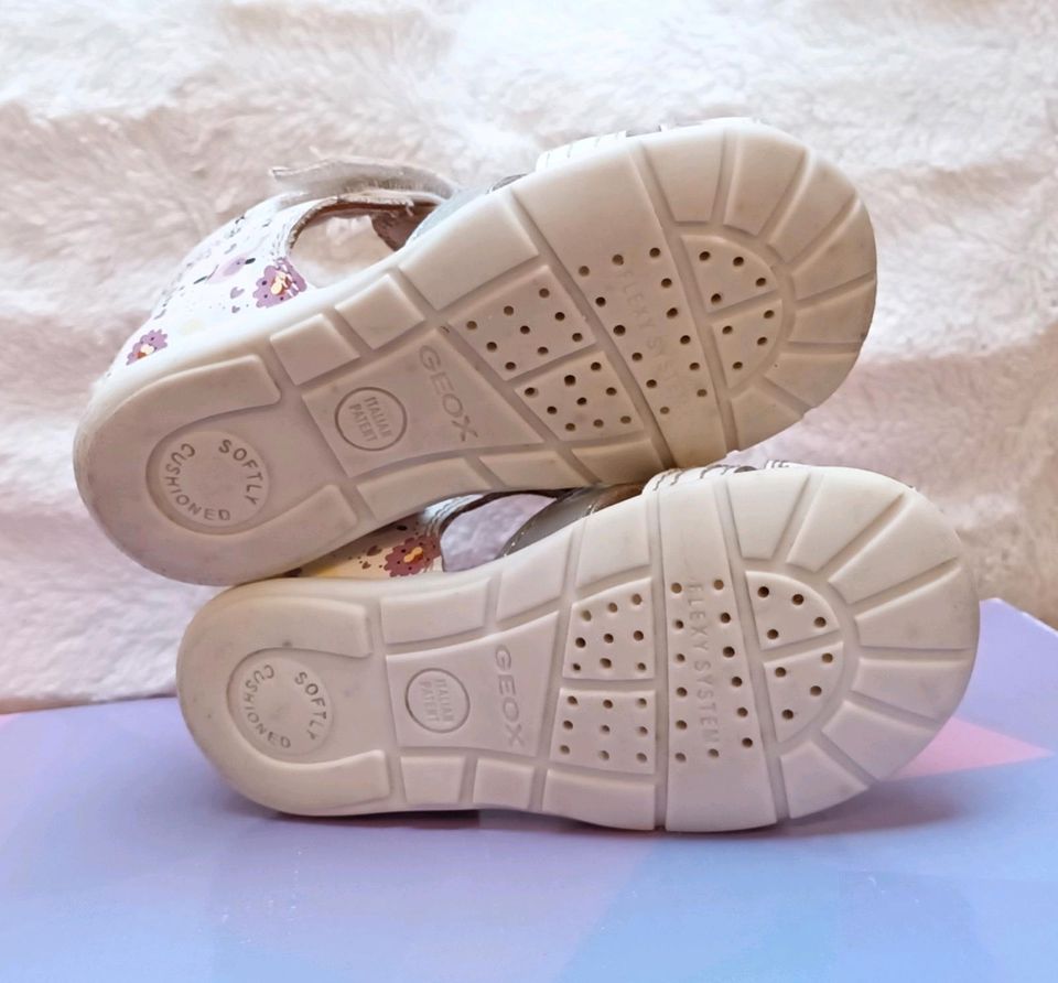 Geox Baby Kinder Marken Sommer Schuhe Sandalen 23 Klettverschluss in Hiddenhausen
