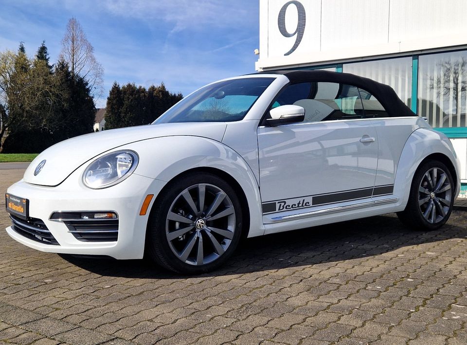 Volkswagen Beetle 2.0 TSI Autom. Kamera, Leder, Sitzheizung in Fröndenberg (Ruhr)