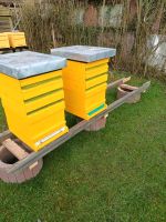 Bienenbeute + Rähmchen Bayern - Jettingen-Scheppach Vorschau