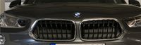 BMW X2 Nieren Bj. 2019, M-Paket Saarland - Mandelbachtal Vorschau