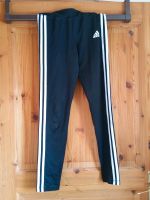 Adidas Sporthose Baden-Württemberg - Neresheim Vorschau