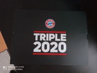 Adidas FC Bayern München Triple Trikot Box Lewandowski Gr. L Neu Nordrhein-Westfalen - Oberhausen Vorschau