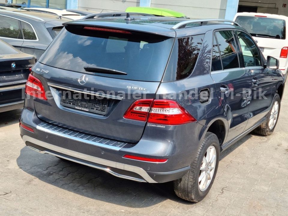 Mercedes-Benz ML 250 CDI BlueTEC*Navi*Leder*AHK* in Möhnesee