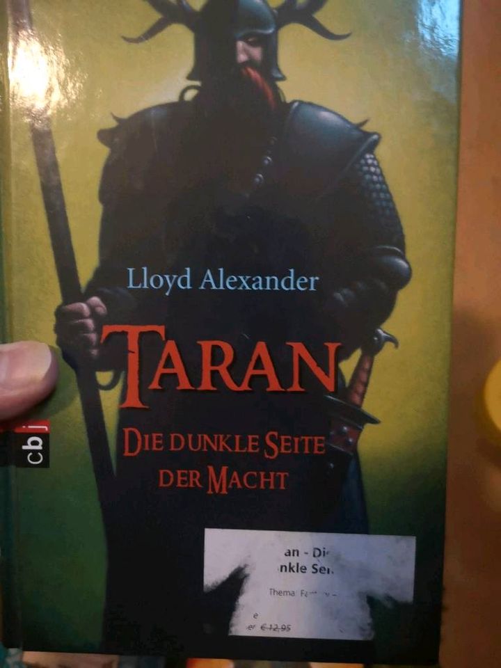 Jugendbuch Buch Zauberei Magie Hexer Fantasy Taran Bone Magnus in Siegen