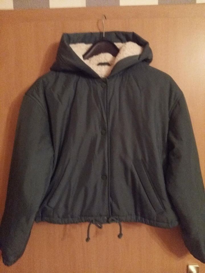 Steppjacke in M von Hollister in Wolfhagen 