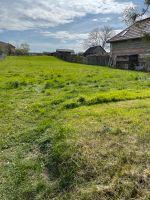 Wiese zum Abmähen von Gras oder für Heugewinnung in Wüllersleben Thüringen - Erfurt Vorschau