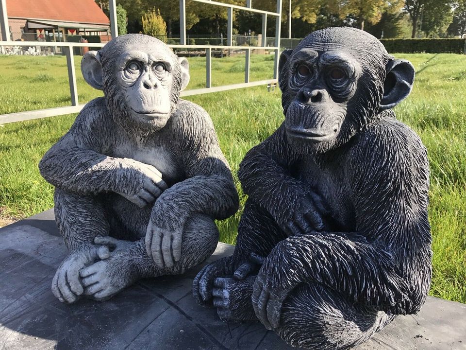 ‼️Schimpanse 52cm Chita Bonobo Steinguss Affe Affen Menschenaffe in Essen