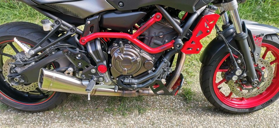 Yamaha MT 07 Moto Cage in Langlingen