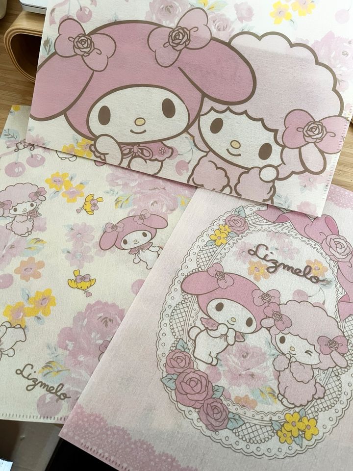 Lizmelo My Melody x Liz Lisa Stoff Clearfile Set Piano neu Sanrio in Berlin