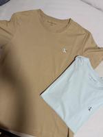 Calvin Klein Shirts Gr. XL beige und hellgrau Duisburg - Rumeln-Kaldenhausen Vorschau