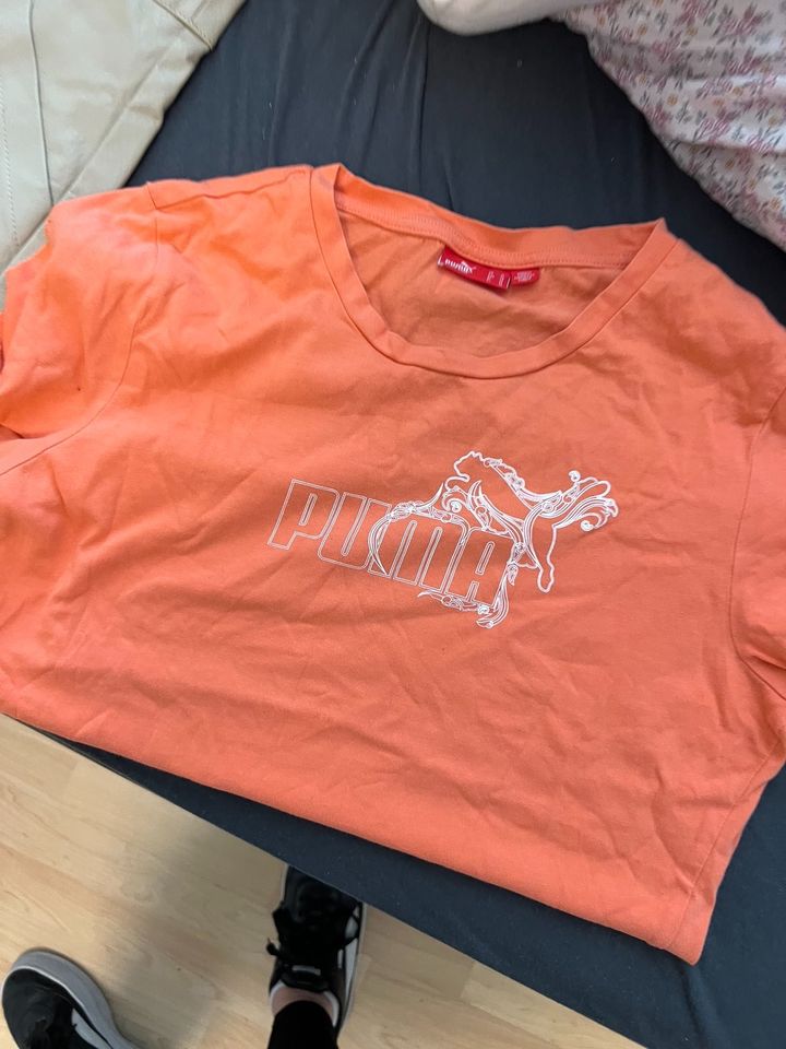 Puma T-Shirt apricot XML in Dortmund