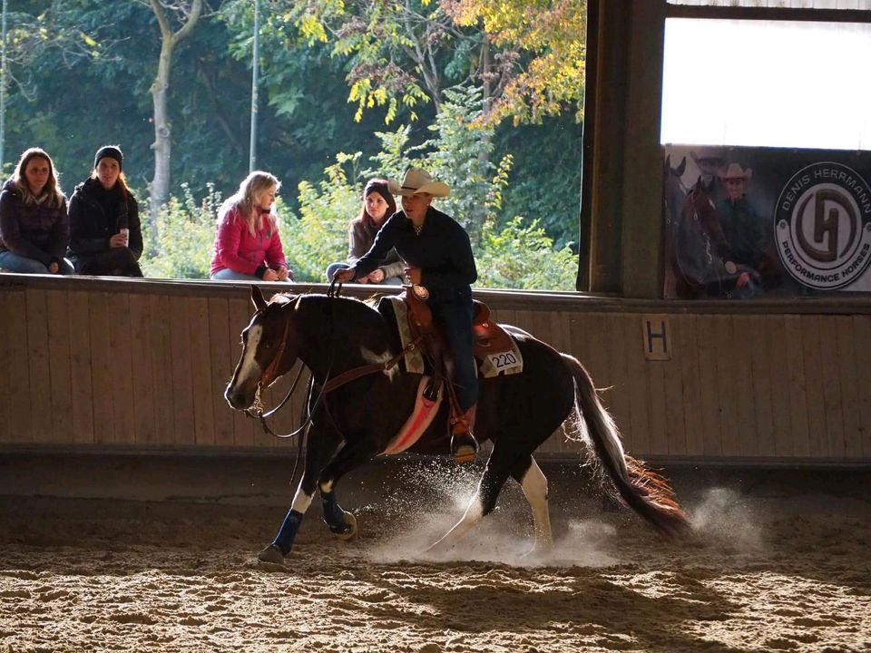 Jung- Pferdeausbildung - Pferdetraining - Problempferde in Sonsbeck