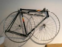 Peugeot Mont-Blanc Fahrrad Projekt Häfen - Bremerhaven Vorschau