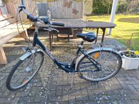 Fahrrad Damen 28 Zoll Niedersachsen - Bergen Vorschau