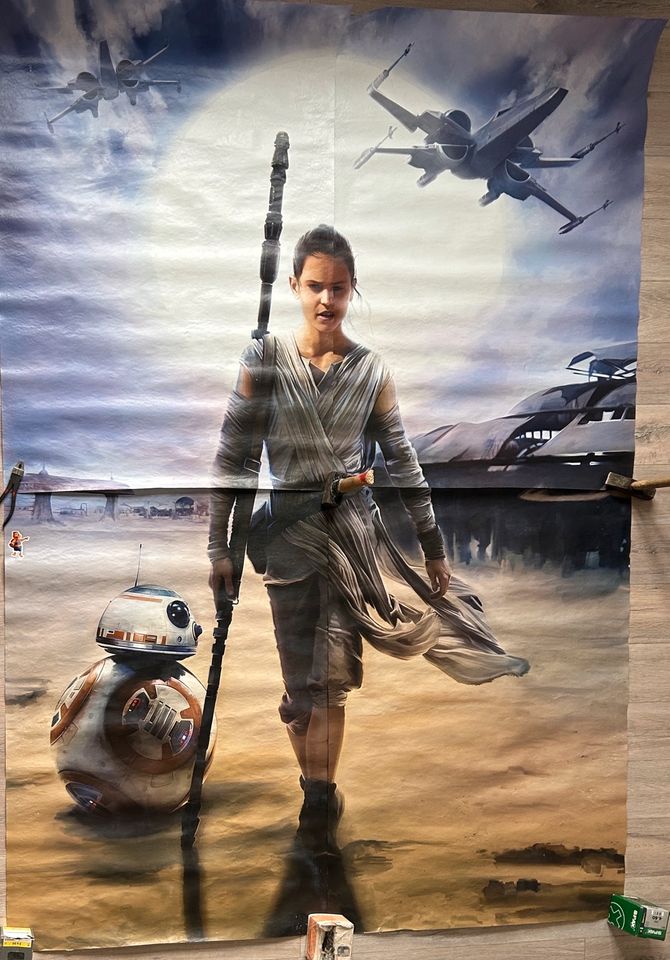 Riesiges Wand-Poster/Wandtapete Star Wars Motiv Rey Skywalker in Dresden