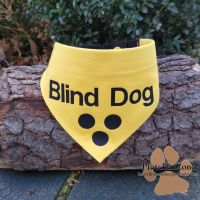 Hundehalstuch Blind Dog XS-XXL verstellbar PfötchenZone Nordrhein-Westfalen - Allagen Vorschau