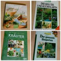 Versch Kräuter Wirkung Pflege Pflanze Rezepte Kochbuch Küche BtBj Baden-Württemberg - Neudenau  Vorschau