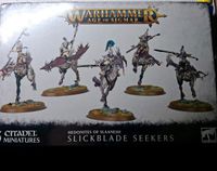Warhammer AOS Hedonites of Slaanesh Slickblade Seekers Nordrhein-Westfalen - Unna Vorschau