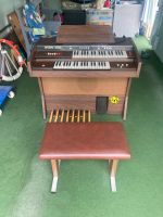 Orgel Spezial 3000 Deluxe Rheinland-Pfalz - Bodenheim Vorschau