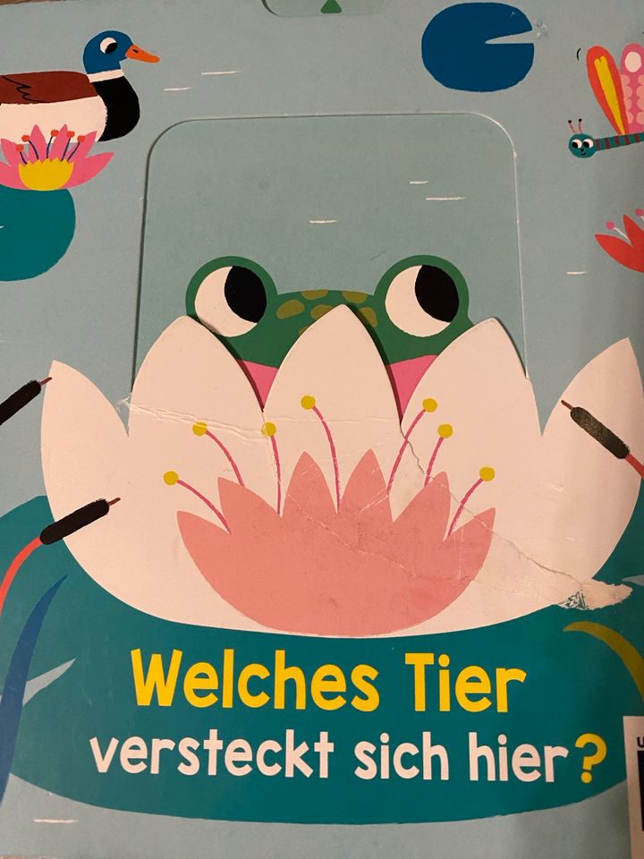 Klapp- und Ziehbücher „Welches Tier / Welche Tiere…“ in Linsengericht