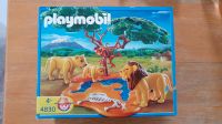 Playmobil Löwen 4830 Rheinland-Pfalz - Enkenbach-Alsenborn Vorschau