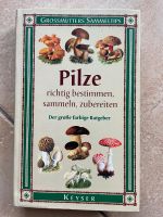 Pilze richtig bestimmen, sammeln, zubereiten Keyser Dresden - Schönfeld-Weißig Vorschau