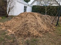 Sand Erde Füllboden zu verschenken Berlin - Mahlsdorf Vorschau