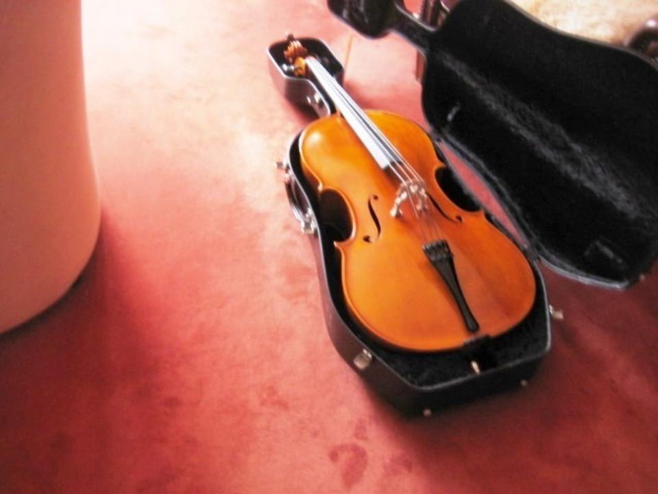 MEISTER-CELLO MIT ZETTEL / GRÖßE 4/4 BAUJAHR 1979, BOLOGNA in Hollenstedt