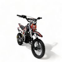 Dirt Cross Bike Motor Bike 125cc modell KXD 607 Automatik 12/14 Nordrhein-Westfalen - Gelsenkirchen Vorschau