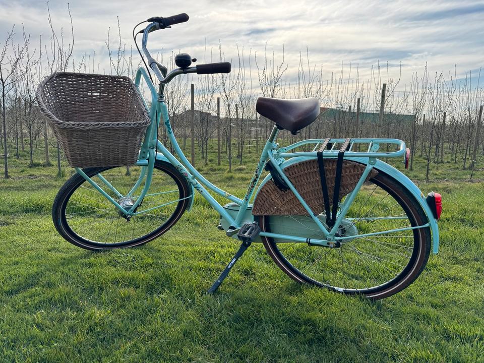 Gazelle 28“ Classic LMTD (Blumen) Edition Mint Hollandrad Korb in Jork