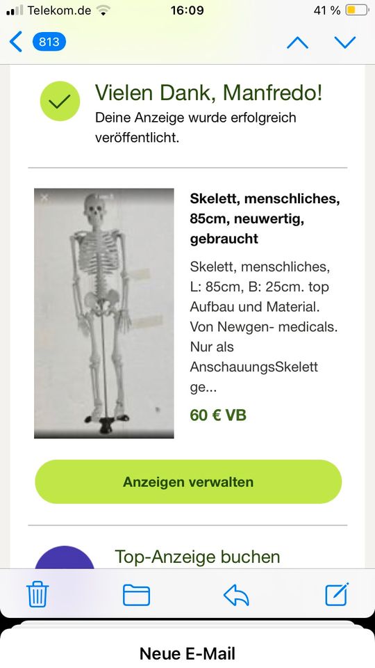 Skelett, menschliches, 85cm, neuwertig, gebraucht in Syke