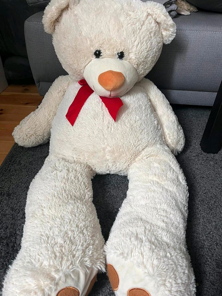 Riesiger Teddy in Gelsenkirchen