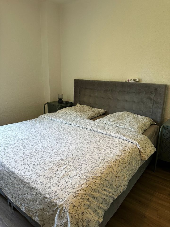 Boxspringbett grau samt 180x200 in Dresden