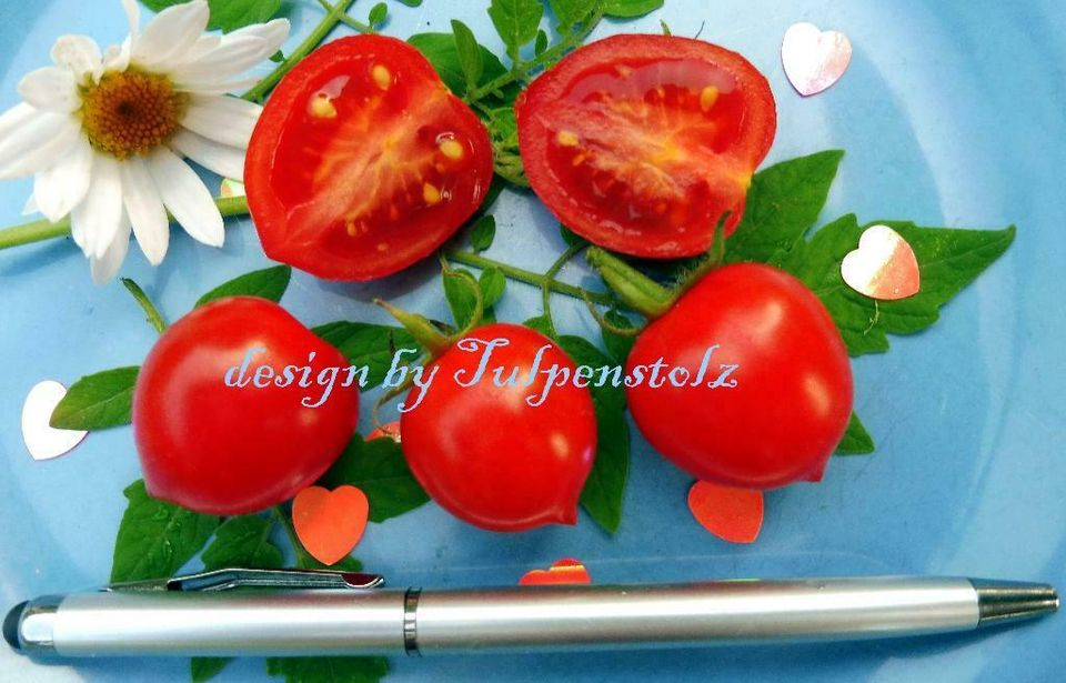 ♥ Tomaten Kleiner Herzensbrecher Samen Garten Rarität Alte Sorte in Hamburg