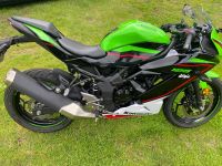 Kawasaki Ninja 125 Mecklenburg-Vorpommern - Tutow Vorschau