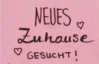 Akademikerfamilie sucht Haus in Havixbeck Nordrhein-Westfalen - Havixbeck Vorschau