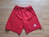 Adidas Short Thüringen - Olbersleben Vorschau