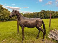 Pferdefigur lebensgroß Bronze Schleswig-Holstein - Schleswig Vorschau