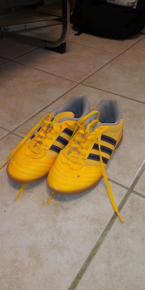 Adidas Hallenschuh in Genthin