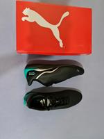 Puma Petronas AMG Gr. 47 und 41 Hessen - Kirchhain Vorschau