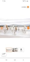 FOTOTAPETE 3,68x 2,54  " Pferde " original verpackt  zu verkaufen Nordrhein-Westfalen - Höxter Vorschau
